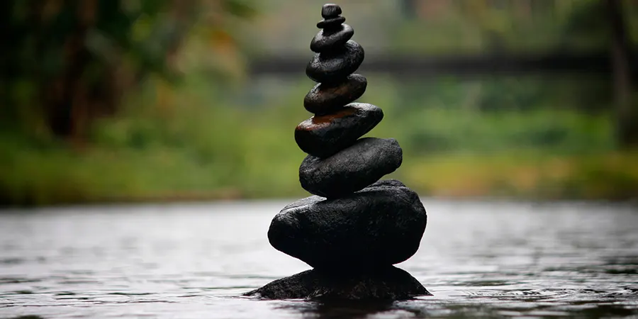 Why a Financial Advisor Can Give You the Edge