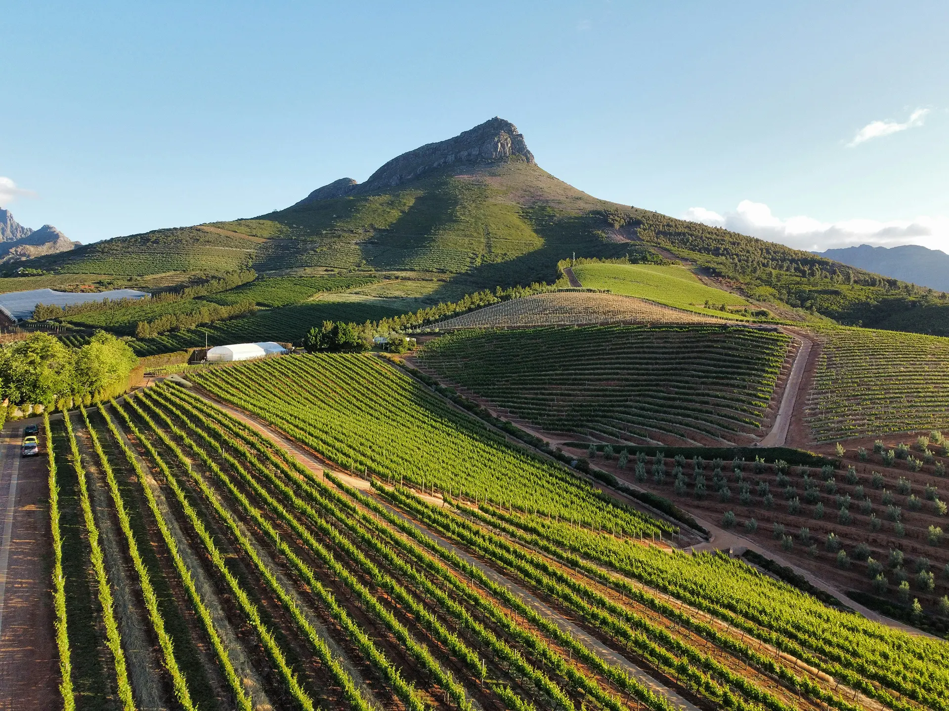 Cape Town Winelands Image Portugal Town with Tram Image