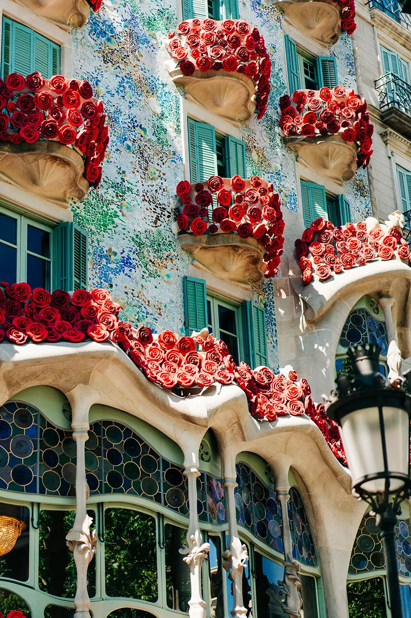 Spain Building Red Roses Image