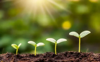 Smart Ways to Grow Your Wealth Abroad