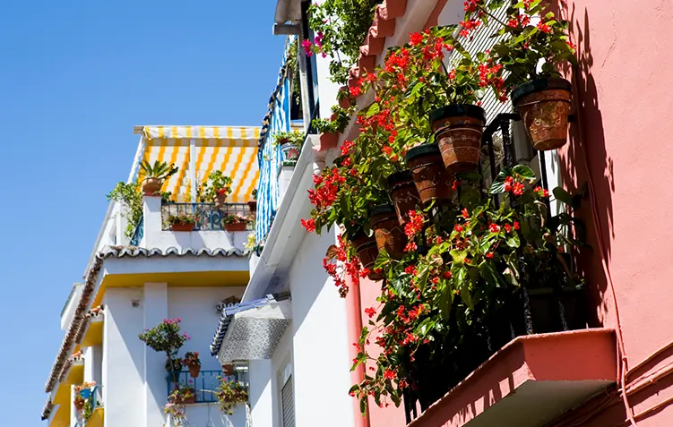 Costa del Sol 2 London garden webinar image 01